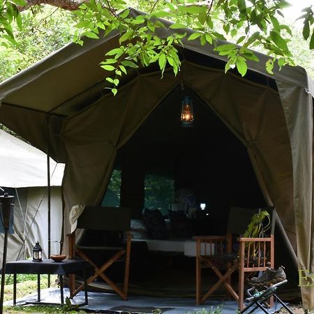 Explorer By Eco Team - Wasgamuwa National Park Bagian luar foto