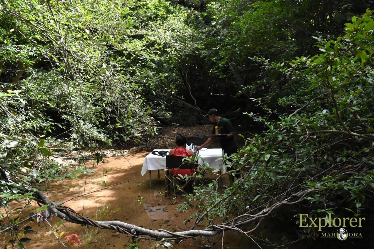 Explorer By Eco Team - Wasgamuwa National Park Bagian luar foto