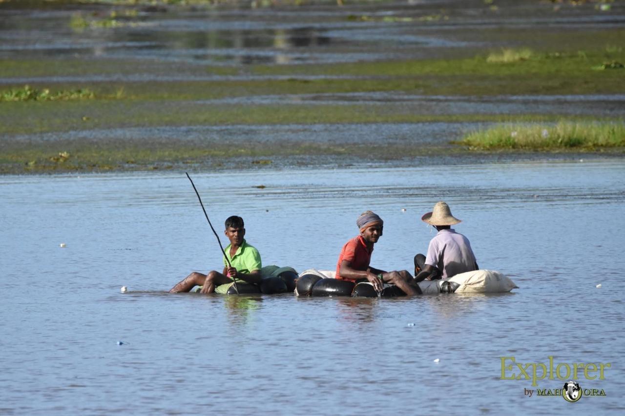 Explorer By Eco Team - Wasgamuwa National Park Bagian luar foto