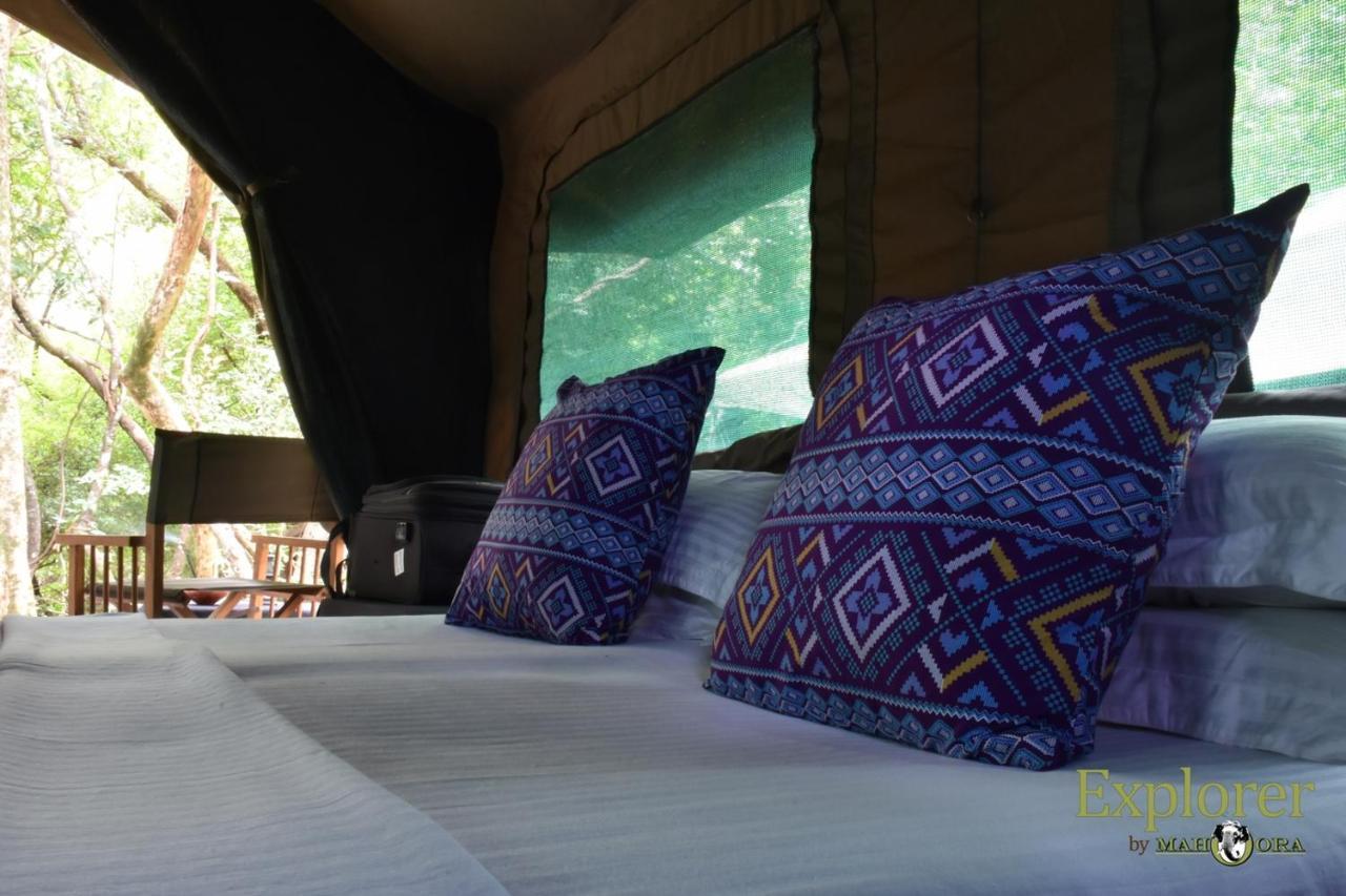 Explorer By Eco Team - Wasgamuwa National Park Bagian luar foto