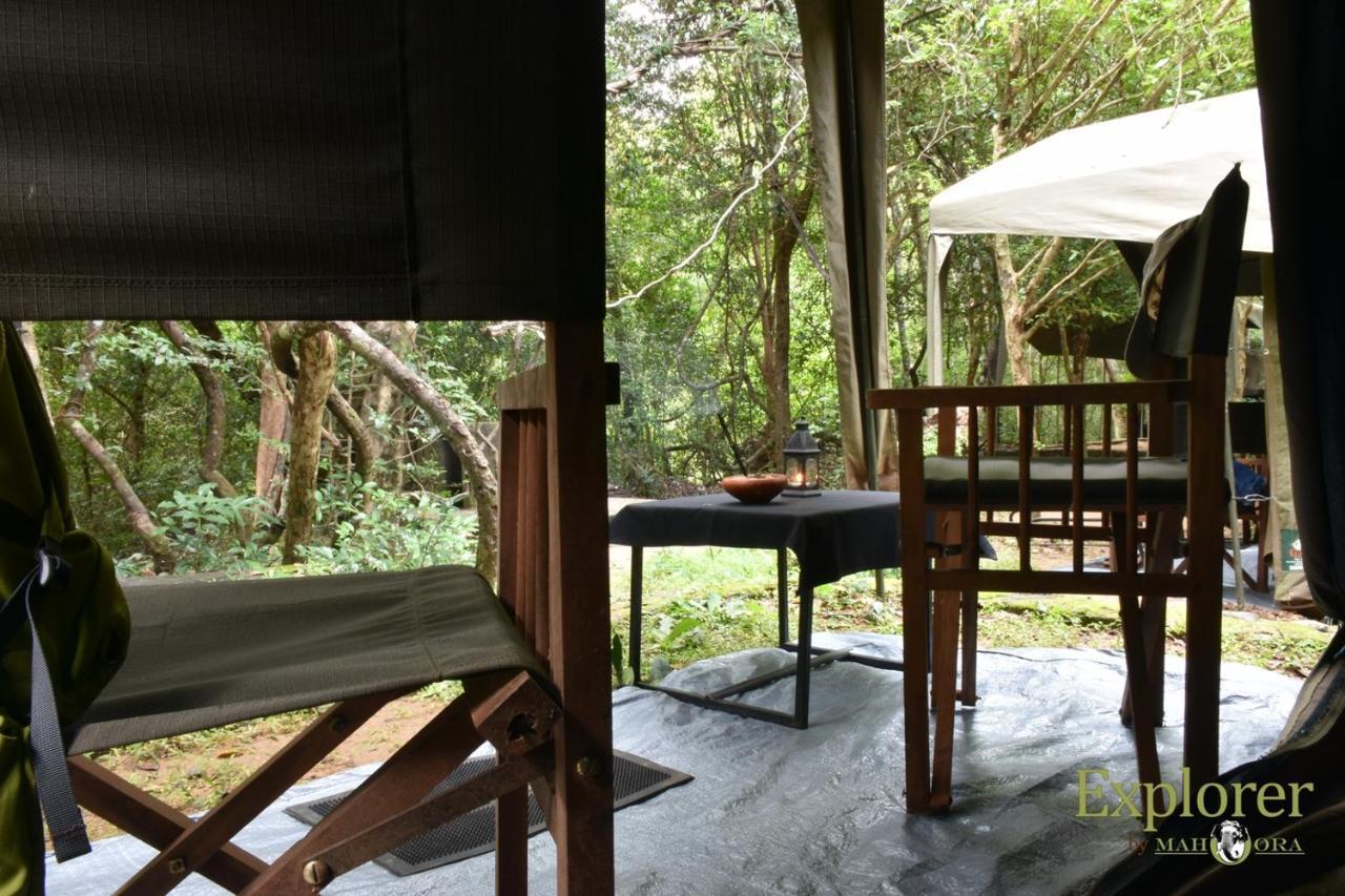 Explorer By Eco Team - Wasgamuwa National Park Bagian luar foto