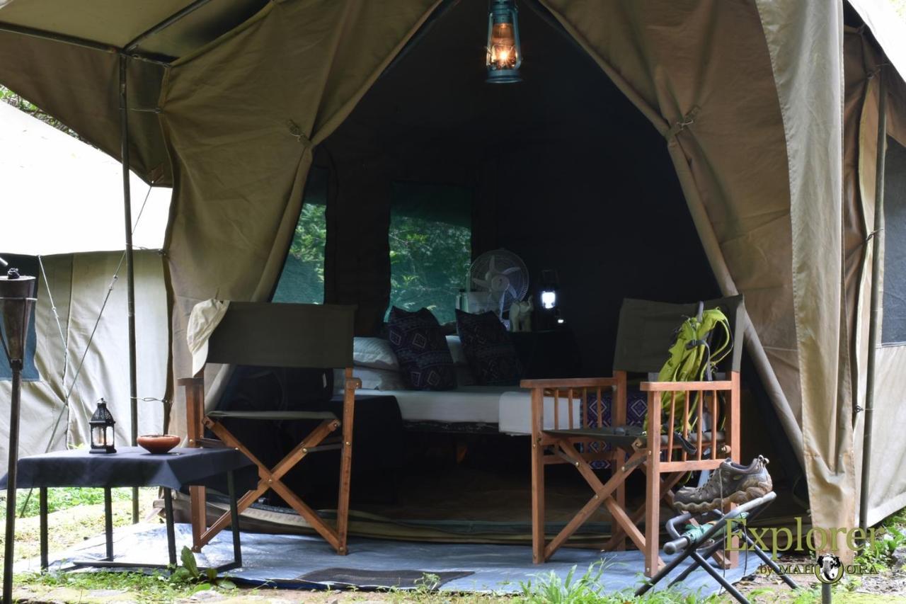 Explorer By Eco Team - Wasgamuwa National Park Bagian luar foto