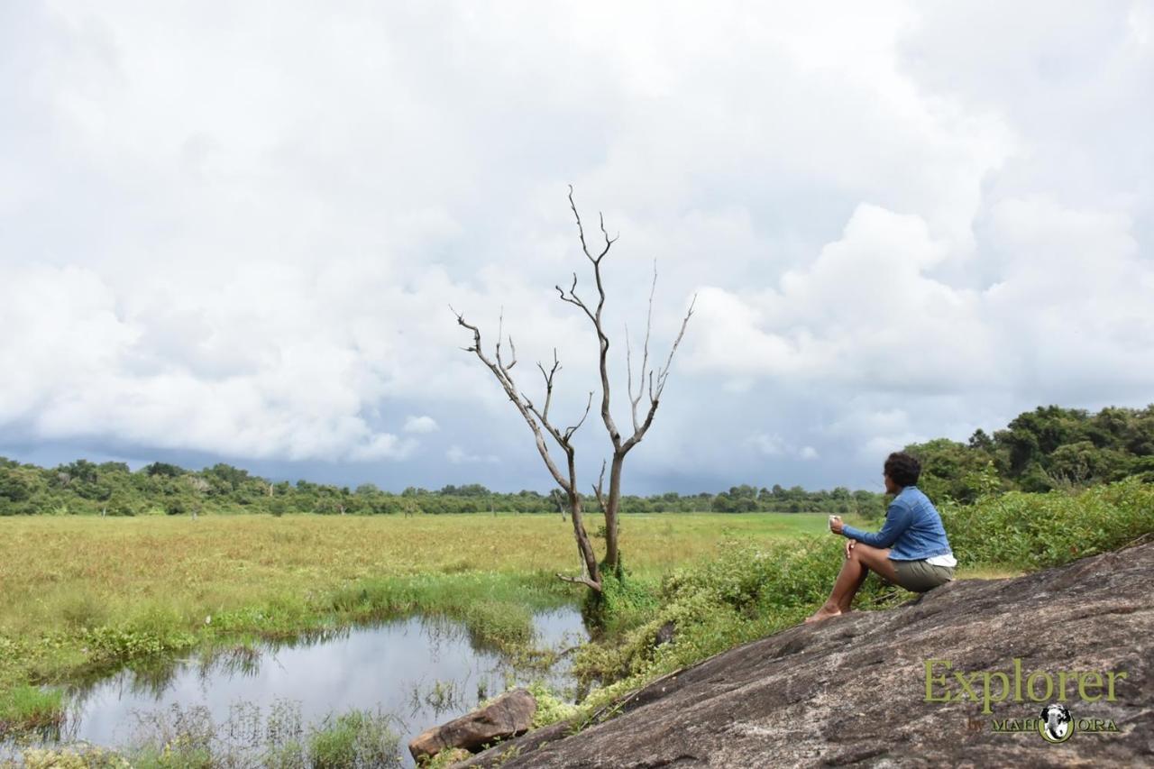 Explorer By Eco Team - Wasgamuwa National Park Bagian luar foto