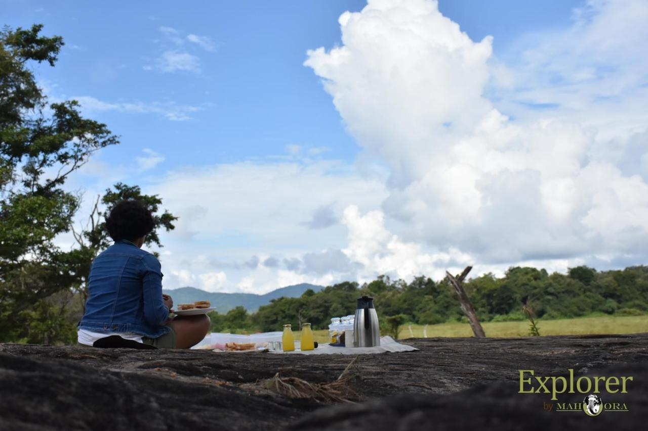 Explorer By Eco Team - Wasgamuwa National Park Bagian luar foto