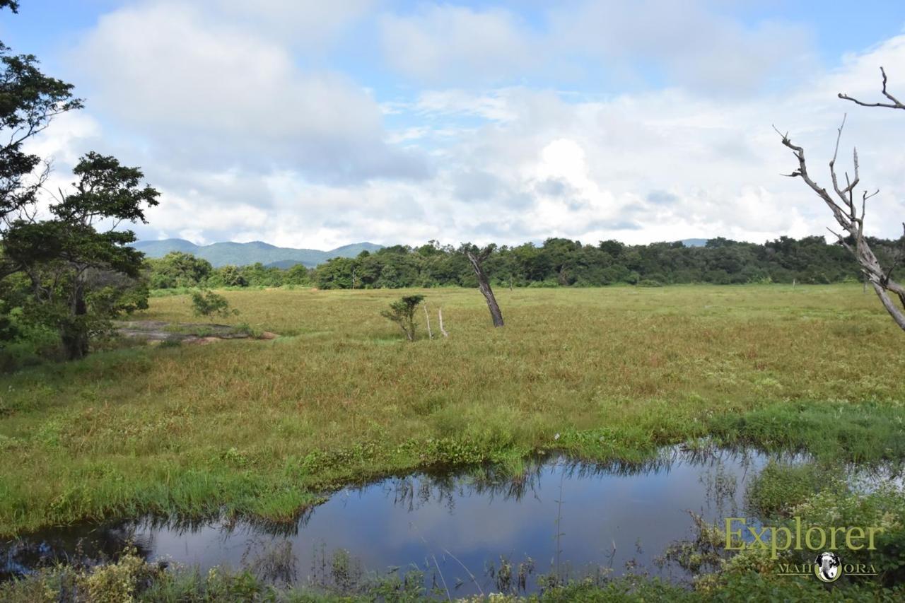 Explorer By Eco Team - Wasgamuwa National Park Bagian luar foto