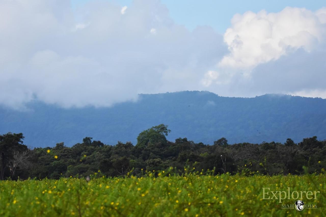 Explorer By Eco Team - Wasgamuwa National Park Bagian luar foto